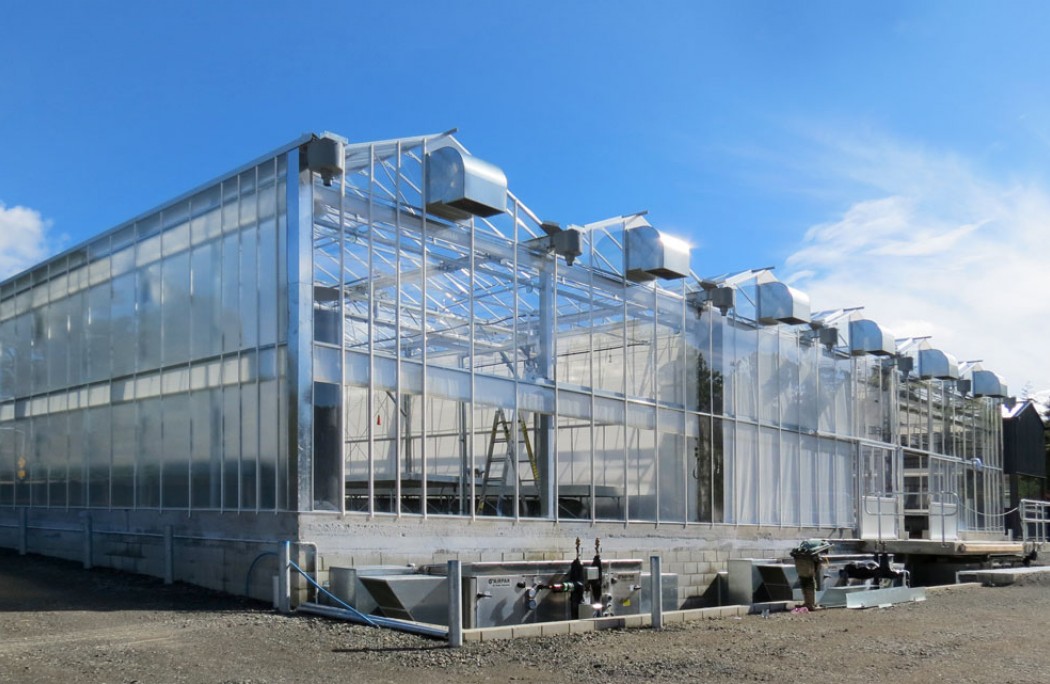 cook brothers construction botanic gardens dunedin glass houses outside